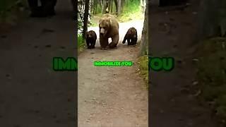 Joe Rogan on How to Survive a Grizzly Bear Attack