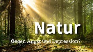 Naturheilkunde bei Angst und Depression – Wie effektiv sind "Heilkräuter" und andere Behandlungsm...