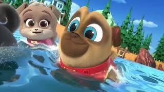Surfing the Basket | Puppy Dog Pals