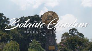 Bogor Botanical Garden Indonesia | Cinematic Video