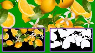 Lemon and Lime (24 шт х 3) 1080р 3 sec. Transition-Footage & Mask + Green Screen / Citrus #1