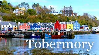 Discover Tobermory: A Must-Visit Scottish Gem | Ultimate Travel Guide & Top Attractions