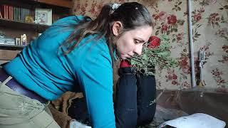 баня