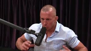 GSP "Fighting is Not My Life" - Joe Rogan