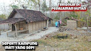 Seperti Kampung Suku Jawa Kuno Masih Alami Dipedalaman Hutan Perbatasan Blora - Bojonegoro