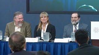 Online Learning in Public Higher Education