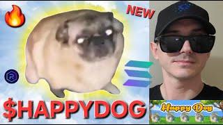 $HAPPYDOG - HAPPY DOG TOKEN CRYPTO COIN HOW TO BUY HAPPYDOG MEMECOIN SOLANA SOL RAYDIUM CAT JUPITER