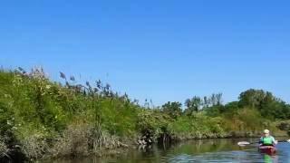 Exploring Darby Creek with LL Bean