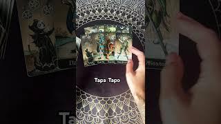 Кто хочет подложить ? #shorts#tarot#гадание#