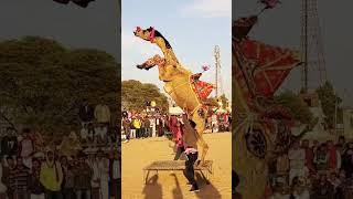 camel dance #cameldance