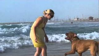 Israeli girl and dog on the sea