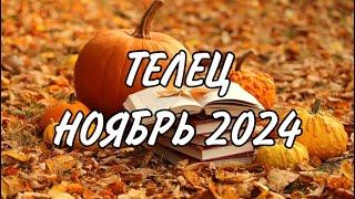 ТЕЛЕЦ ️ ИЗМЕНЕНИЯ ТОЛЬКО К ЛУЧШЕМУ  Таро прогноз на ноябрь 2024