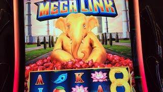 Ultra Hot Mega Link the Elephant!!!