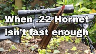 .17 Hornet