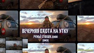 Вечерняя охота на утку. Ружьё stoeger 2000.