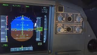 Cruising Flight Level. Crossing with Boeing 737