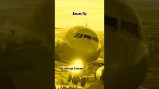 Smart fly