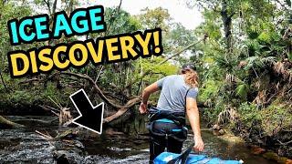 Hunting for Ice Age Gold: The Hidden Fossils of Florida's Riverbanks!