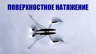 Поверхностное натяжение