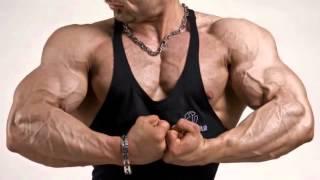 The Muscle Matrix Solution Review + Bonuses