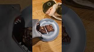 Hungry Hand shares Brownies with Toto!