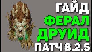 Гайд на ферал друида БФА PVE патч 8.2.5