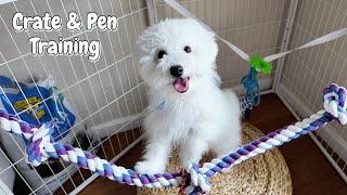 Mom's Secrets to Crate & Pen Training (Puppy Reveals)