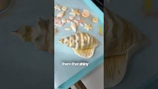 Topper Tuesday: let’s make seashells and a Lilly