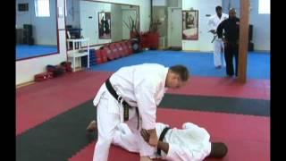 Troy J. Price Martial Arts Action Clips #3 Shurite Bujutsu-Kai Workshop December-2011.mp4