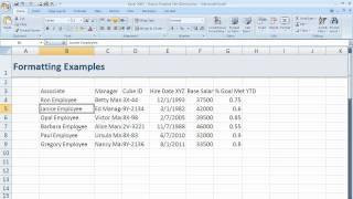 How to resize columns and rows in Excel 2007 (Excel 07-006)