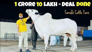 1 Crore 10 Lakh Deal - Farrukh Cattle Farm - Fateh Jang bull 2024 - Qurbani 2024 Most Expensive Bull