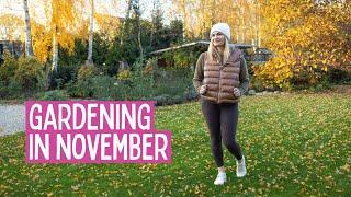 November Gardening Tasks: Perennial Care, Tulip Bulb Planting & Leaf Management