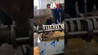 6YL-131 screw oil press machine to hot press peanut oil #machine #oilmaking #oilpressmachine