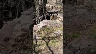 Leaping Rock at Pipestone National Monument