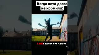 Когда кота долго не кормили #shorts #a4 #a4omg #kobakow