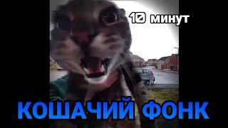 КОТ МЯУКАЕТ в камеру, но это ФОНК | 10 минут