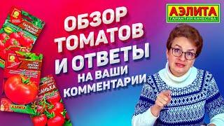 ОТВЕТЫ на ВОПРОСЫ и Обзор Томатов в Открытом Грунте в Этом Выпуске