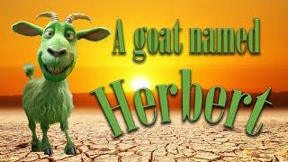 A Goat Named Herbert.