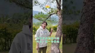 簡單的植物溝通－透過呼吸法與樹交流（上） ｜Yvonne's Talk  #正能量 #呼吸法 #抱樹 #源頭療育 #yvonne