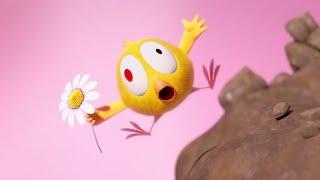 Chicky’s Wheelbarrow | Where's Chicky? | Cartoon Collection in English for Kids | New episodes