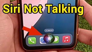 How to Fix Siri Not Talking iOS 18 | How to Fix Siri Not Responding iOS 18