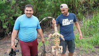 Caza Y Cocina  De Garrabos Gigantes