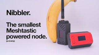 Nibbler - The Smallest Meshtastic powered Node (probably)