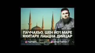 УМАР ХЕХОЕВ "ПАЧЧАХЬО, ШЕН ЙО1 МАРЕ ЯХИТАРХ ЛАЬЦНА ДИЙЦАР" ХЬЕХАМ