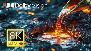 Experience UNBELIEVABLE Nature | Dolby Vision™ 8K ULTRA HD HDR