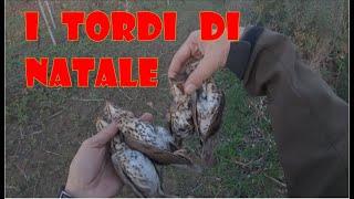 CACCIA: I TORDI DI NATALE- ULTRA HD -4K