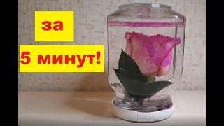 How to keep flowers alive for several months. The easiest way to preserve flowers in a jar