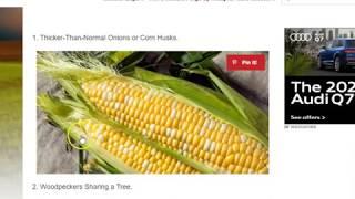 Dreams - Food shortages, harsh winter, deception and death -Sept.  to Dec., and sharing a word.