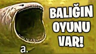 BU BALIĞA OYUN YAPMIŞLARR!