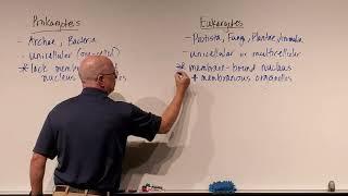 Microbiology Ch. 4, Prokaryotes vs Eukaryotes